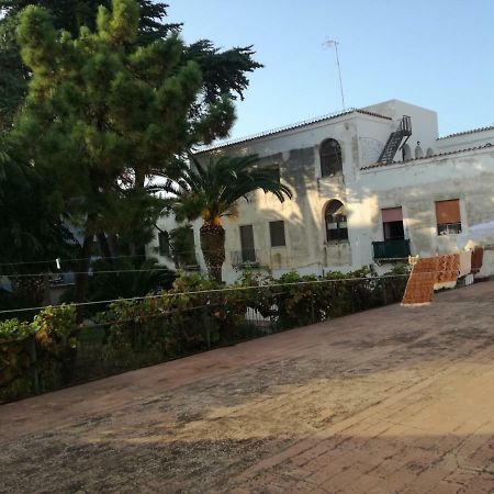 Zia Amalia Villa Asfodelo อาลเกโร ภายนอก รูปภาพ