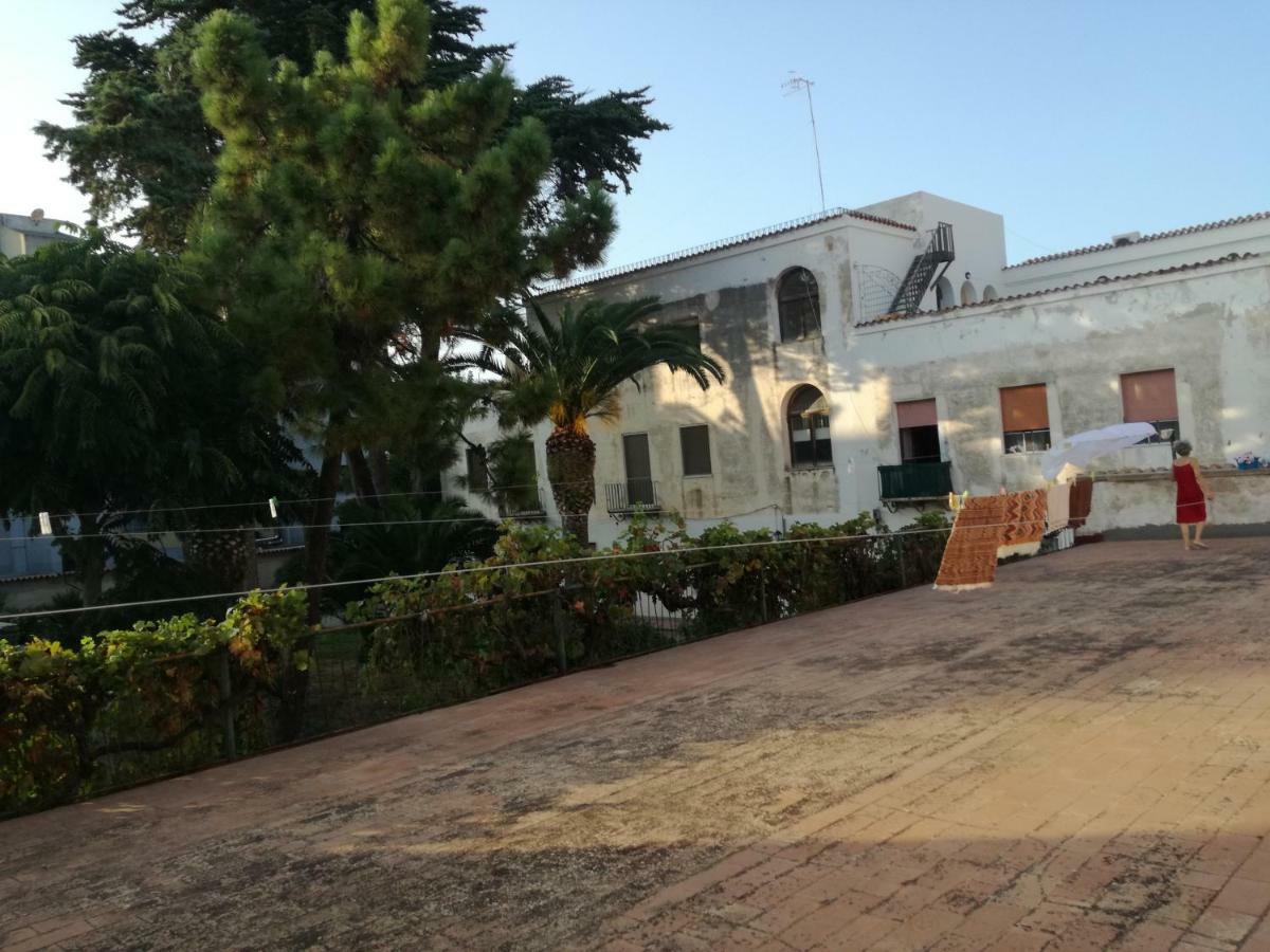 Zia Amalia Villa Asfodelo อาลเกโร ภายนอก รูปภาพ
