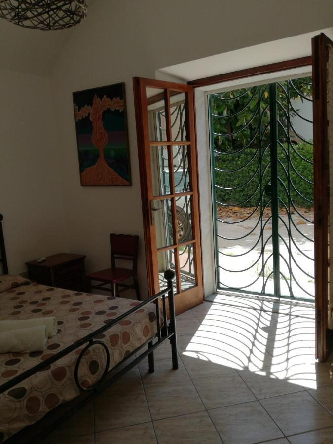 Zia Amalia Villa Asfodelo อาลเกโร ภายนอก รูปภาพ